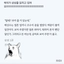 보여준다는 게 그것일 거란 데에 한 치의 으심도 업어뵘 이미지