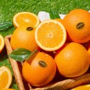 오렌지솔루션 이미지