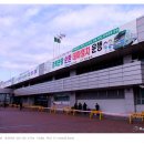 동대구역 이미지