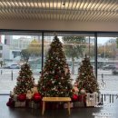 의료법인 아인의료재단 이미지