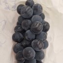 김태근농장 이미지