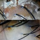 더블유엠프로젝트