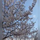 덕이공원 네이버블로그