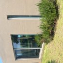 인더플럼 이미지