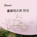 그린꽃예술둔산학원