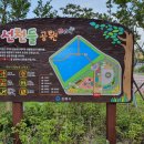 선천들공원 이미지