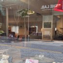 대단한 일은 없었지만, 그냥 남겨두고 싶은 초여름 일상🌿