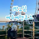 똥강아지 애견 | 여수 애견동반여행 가볼만한곳 1박2일 여행코스 추천, 전라남도 강아지동반 여행, 여수 강아지랑 가볼...