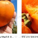 황금빛농장 이미지