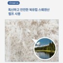견생템 이미지