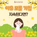 혁신편안내과의원 이미지