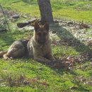 혜영농장 이미지