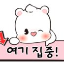라니네 애견샵 이미지