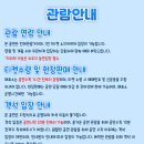 꼬마버스 타요 - 용감한 구조대 레스큐 타요 이미지