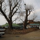 행림서원 이미지