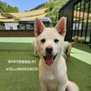 태담이네 하우스 이미지