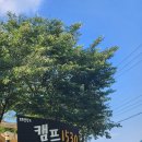 캠프1530 | 놀이터, 계곡이 있는 캠핑장 청도 캠프1530 G2 두가족 사이트 2박 후기