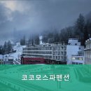 코코모펜션
