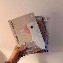 동경 | 마츠모토 타이요 『동경일일』 후기, 잊고 있던 마음을 다시 꺼내는 일본만화