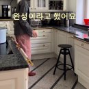 모모맘하우스 | 급 홀로서기 🏠 에피소드 신당 입주 후기 / 지아가구 모모 리프트업 침대 / 인테리어 위시리스트