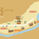 용골송어와 캠핑 이미지
