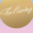 해빙(having)