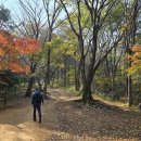 백양산 숲ᆢ 만남의 광장~ 이미지