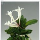 관암농장 이미지