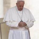 프란치스코 교황, 문재인 대통령에 위로문 이미지