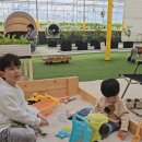 우빈농장 | [용인 딸기체험 추천] 에버랜드 근처 팜팜놀이터 딸기농장, 가족 나들이로 최고!