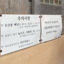 궁다방 이미지