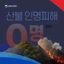 📢 산불 피해 99% 이상 감소, 인명 피해 0건 이미지