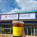 가평잣과일농장