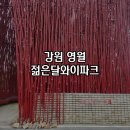 [강원] 영월 가볼만한곳 인생샷 천국 젊은달와이파크