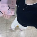 (주)홍이푸드 | 그럼 그냥 9월 진행하께요...