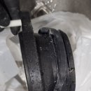 정심#(정심삽)
