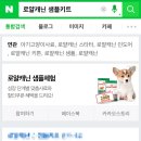 펫 파라다이스 동물병원 이미지