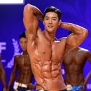 Teddy Fitness 이미지