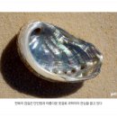 전복의집