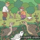 빛나수선 이미지