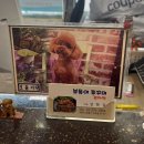 보들이쭈꾸미 | [응암역 맛집] 은평구 응암동 맛집 보들이쭈꾸미 평일 후기