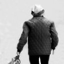 계백로 이미지