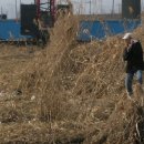 세광학교 이미지