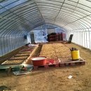 천호농장 이미지