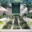 카페수목원 | 물왕호수근교카페 산골수목원 시흥카페 솔직 후기