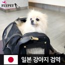 자스민 동물병원 | 입국 : 일본으로 심장수술을 받으러 간 별이입니다 / 부산 일본 강아지 검역 / 일본 자스민 병원 수술 비용