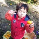 민용농장 이미지