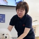 김남수동물병원 이미지