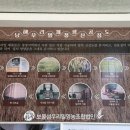 보물섬우리밀영농조합법인 네이버블로그