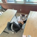 학생복지관 화장실 이미지